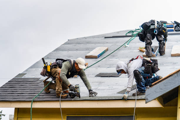 Professional Roof Replacement technician working in Camden, MS